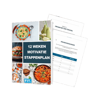 12 Weken Stappenplan